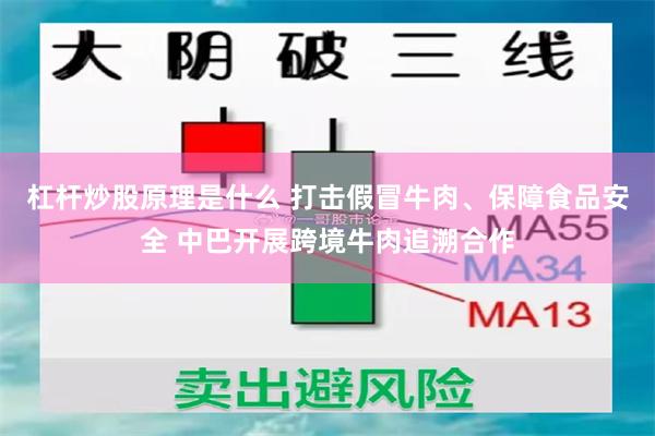 杠杆炒股原理是什么 打击假冒牛肉、保障食品安全 中巴开展跨境牛肉追溯合作