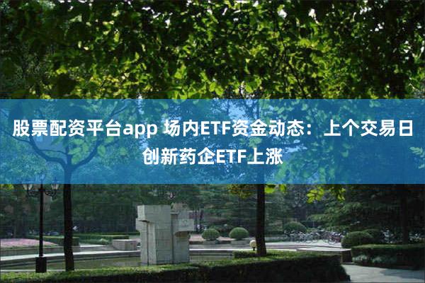 股票配资平台app 场内ETF资金动态：上个交易日创新药企ETF上涨