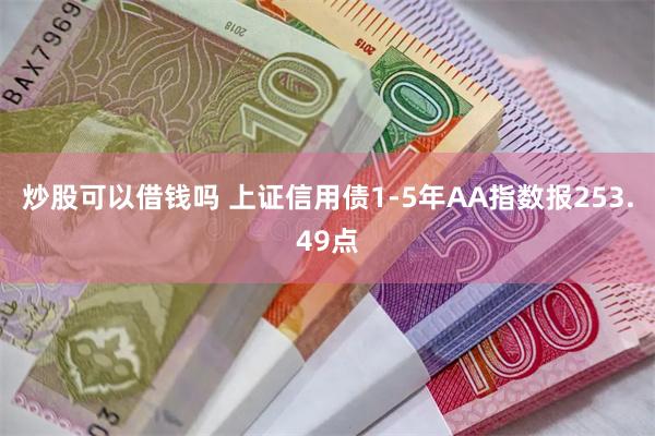 炒股可以借钱吗 上证信用债1-5年AA指数报253.49点