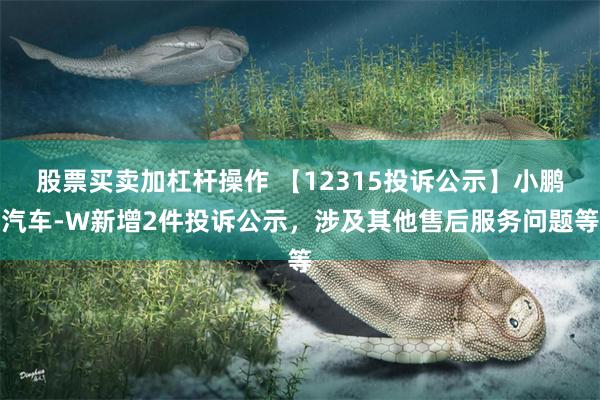 股票买卖加杠杆操作 【12315投诉公示】小鹏汽车-W新增2件投诉公示，涉及其他售后服务问题等