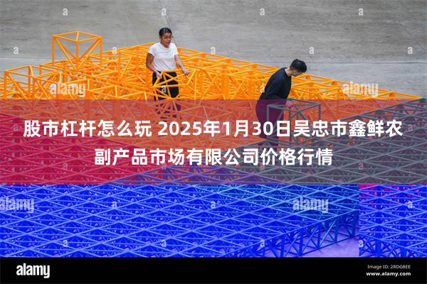 股市杠杆怎么玩 2025年1月30日吴忠市鑫鲜农副产品市场有限公司价格行情